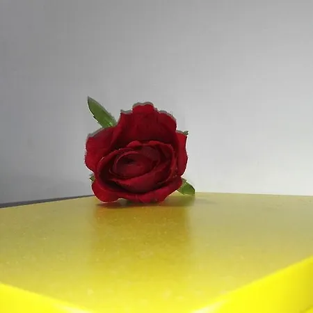 호스텔 템푸스