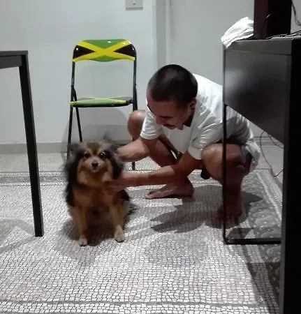템푸스