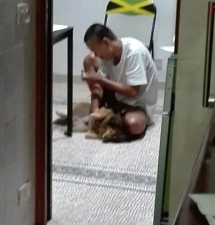 템푸스 로마